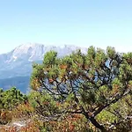 Διαμέρισμα Spacious Near Area In