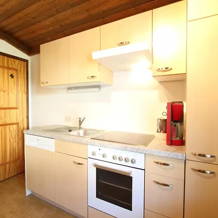 Spacious Near Area In Apartment Mittersill