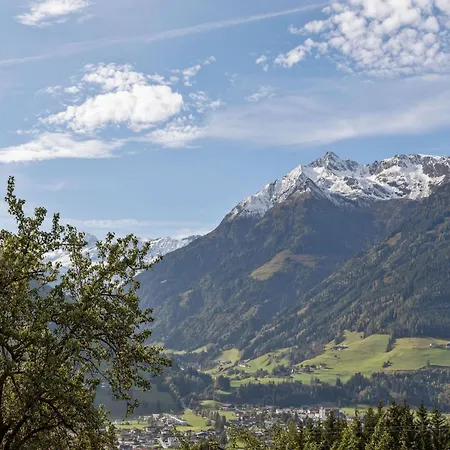 Spacious Near Area In * Mittersill