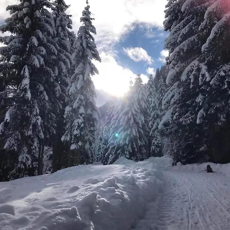 Spacious Near Area In Apartment *