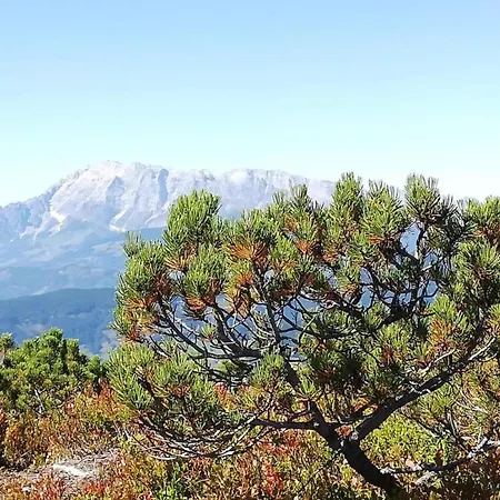 Apartment Spacious Near Area In