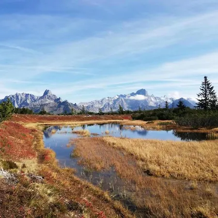 Spacious Near Area In