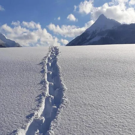 Spacious Near Area In Apartmán *