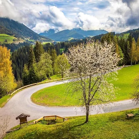 Spacious Near Area In Apartment