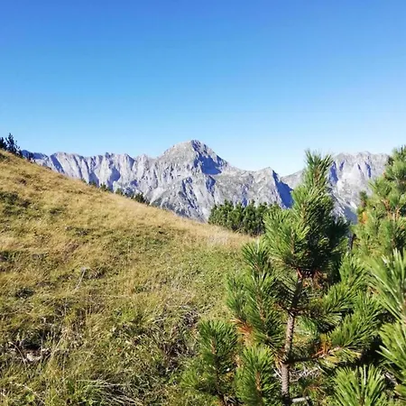 Apartment Spacious Near Area In *