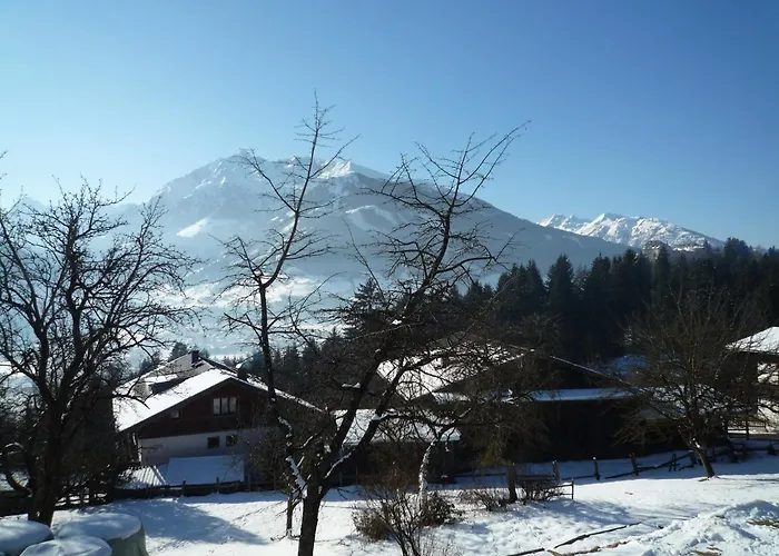 Lejlighed Spacious Near Area In Mittersill