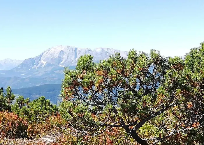 Lejlighed Spacious Near Area In