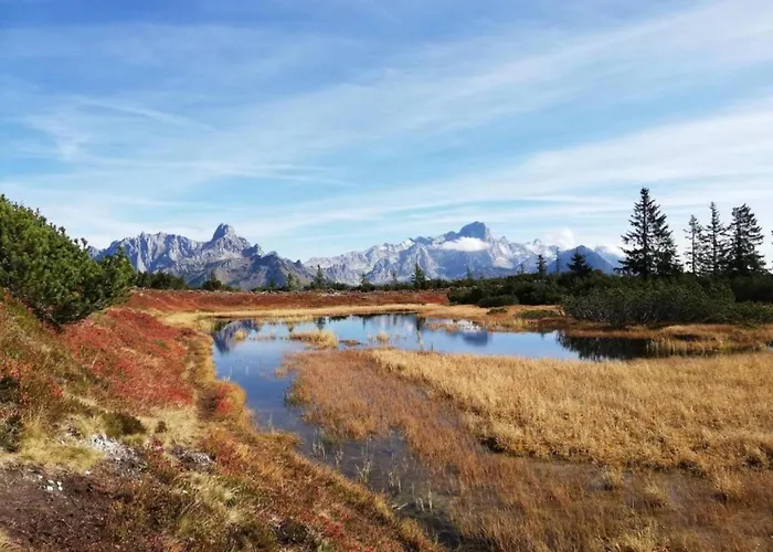 Spacious Near Area In